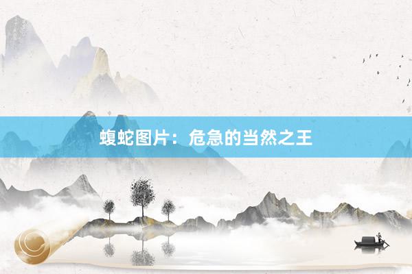蝮蛇图片：危急的当然之王